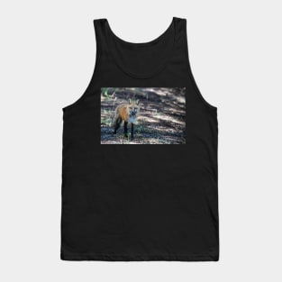 Wild and Free Tank Top